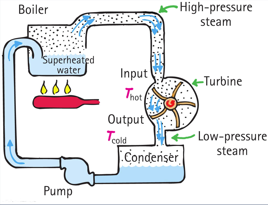 Figure 3. The steam cycle. Superheated water turns into steam, spins a turbine that drives an electrical generator, and is condensed and returned for reheating. 