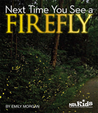 Next Time You See a Firefly cover