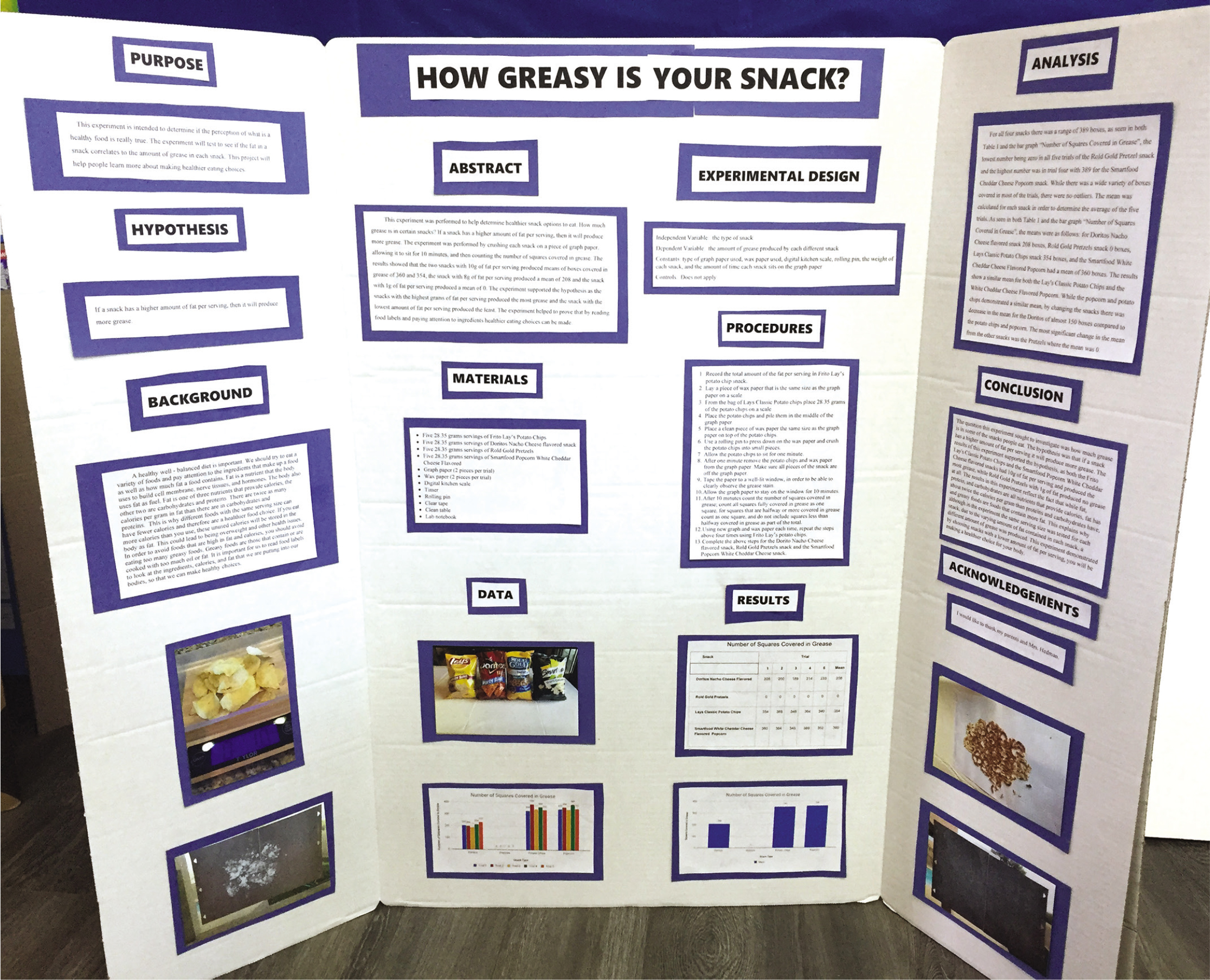 abstract example science fair