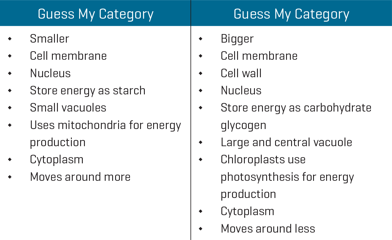 Guess My Category concept sort: Animal and plant cells