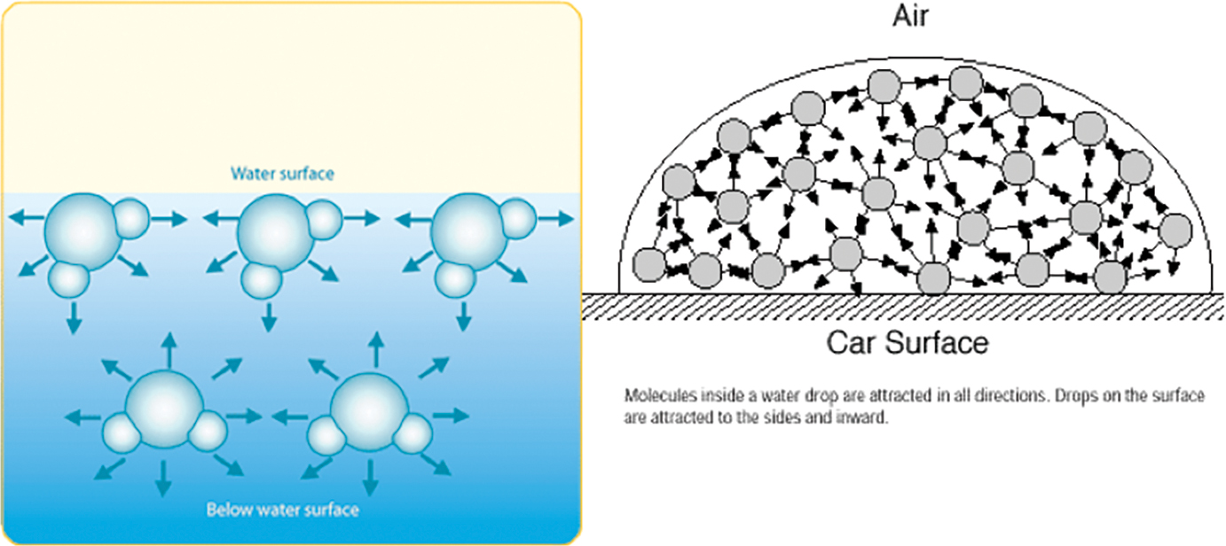 surface tension of water molecules