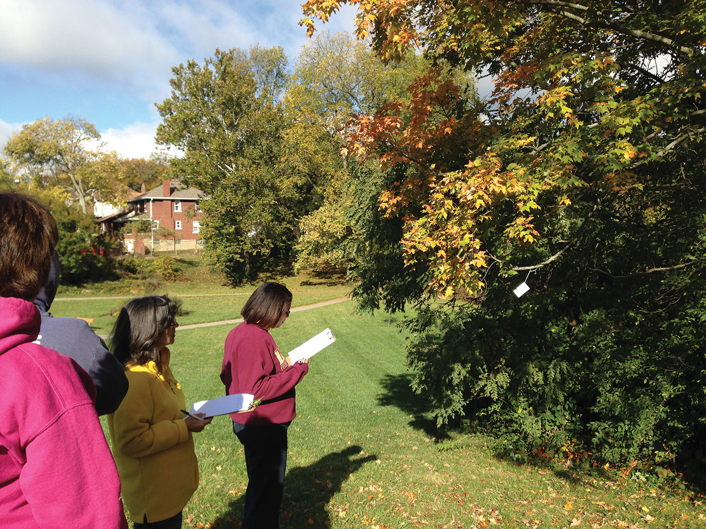 Teachers explore outdoor learning opportunities.