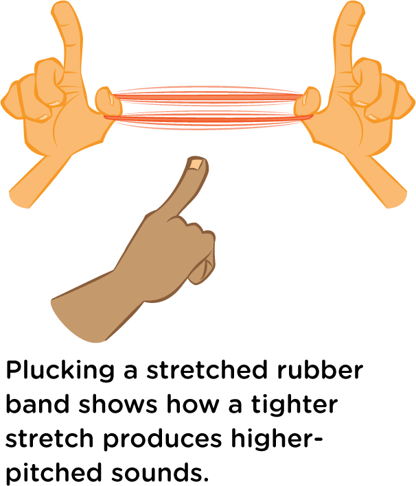 Plucking a stretched rubber band shows how a tighter stretch produces higherpitched sounds.