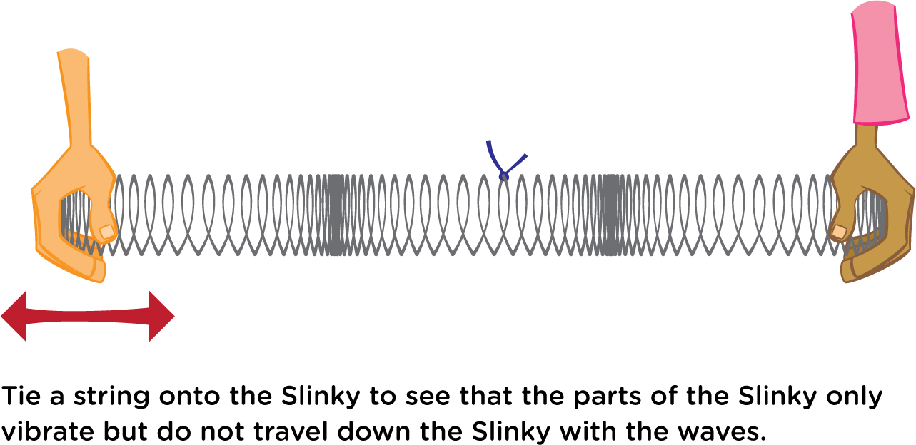 Tie a string onto the Slinky to see that the parts of the Slinky only vibrate but do not travel down the Slinky with the waves.