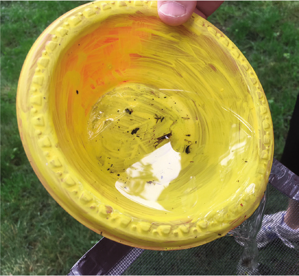 Pouring bowl contents onto a screen