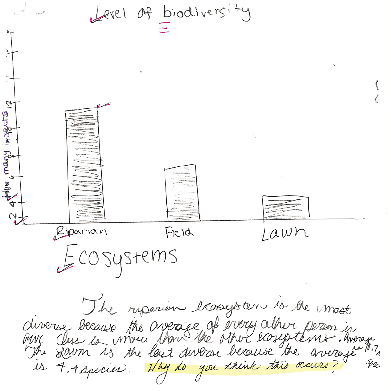 Student graph, hand-drawn