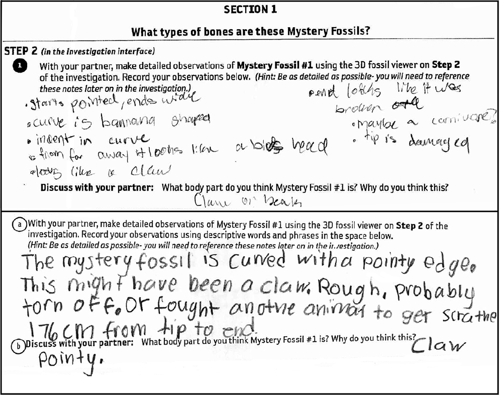 Two examples of students’ freeform, detailed observation notes about mystery fossil #1 (claw)