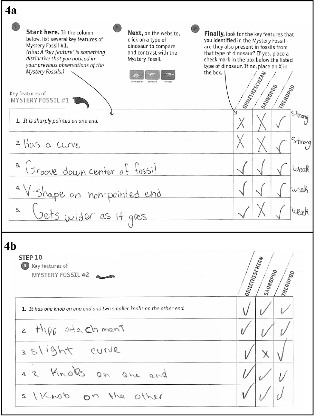 Student documentation reflecting a pattern of strong and weak evidence from mystery fossil 1, the claw (4a) and reflecting only weak evidence from mystery fossil 2, the femur (4b)