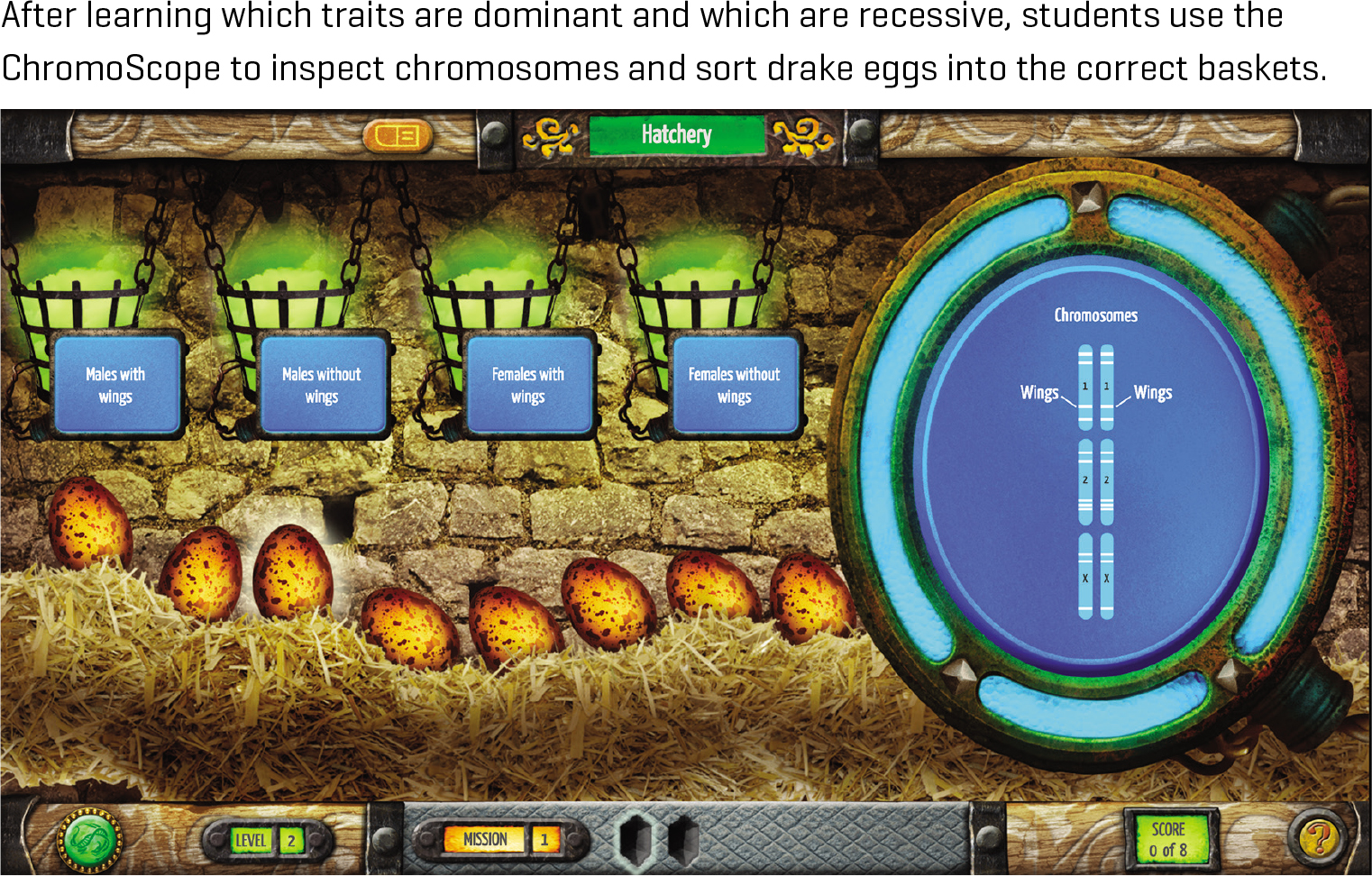 After learning which traits are dominant and which are recessive, students use the ChromoScope to inspect chromosomes and sort drake eggs into the correct baskets.