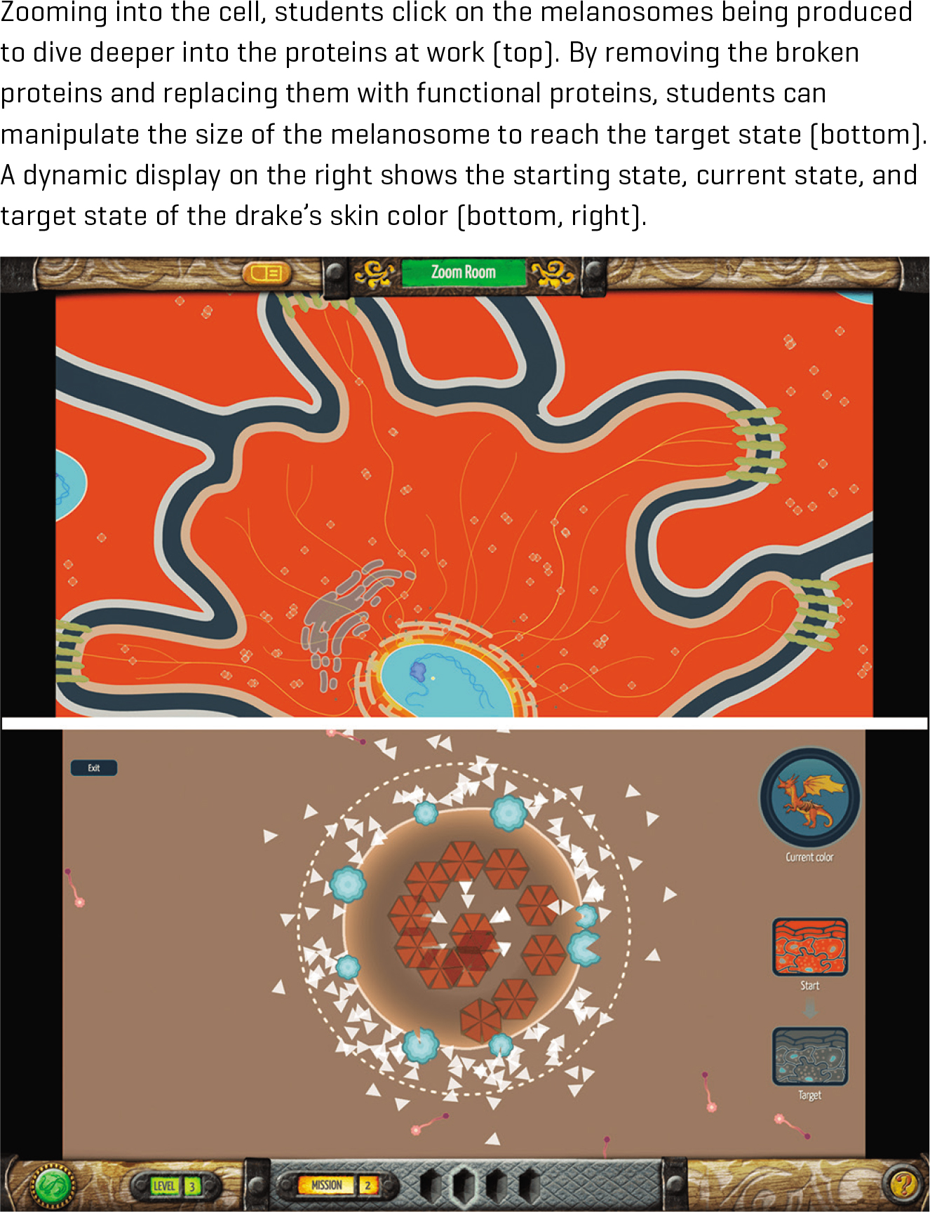 Zooming into the cell, students click on the melanosomes being produced to dive deeper into the proteins at work (top). By removing the broken proteins and replacing them with functional proteins, students can manipulate the size of the melanosome to reach the target state (bottom). A dynamic display on the right shows the starting state, current state, and target state of the drake’s skin color (bottom, right).