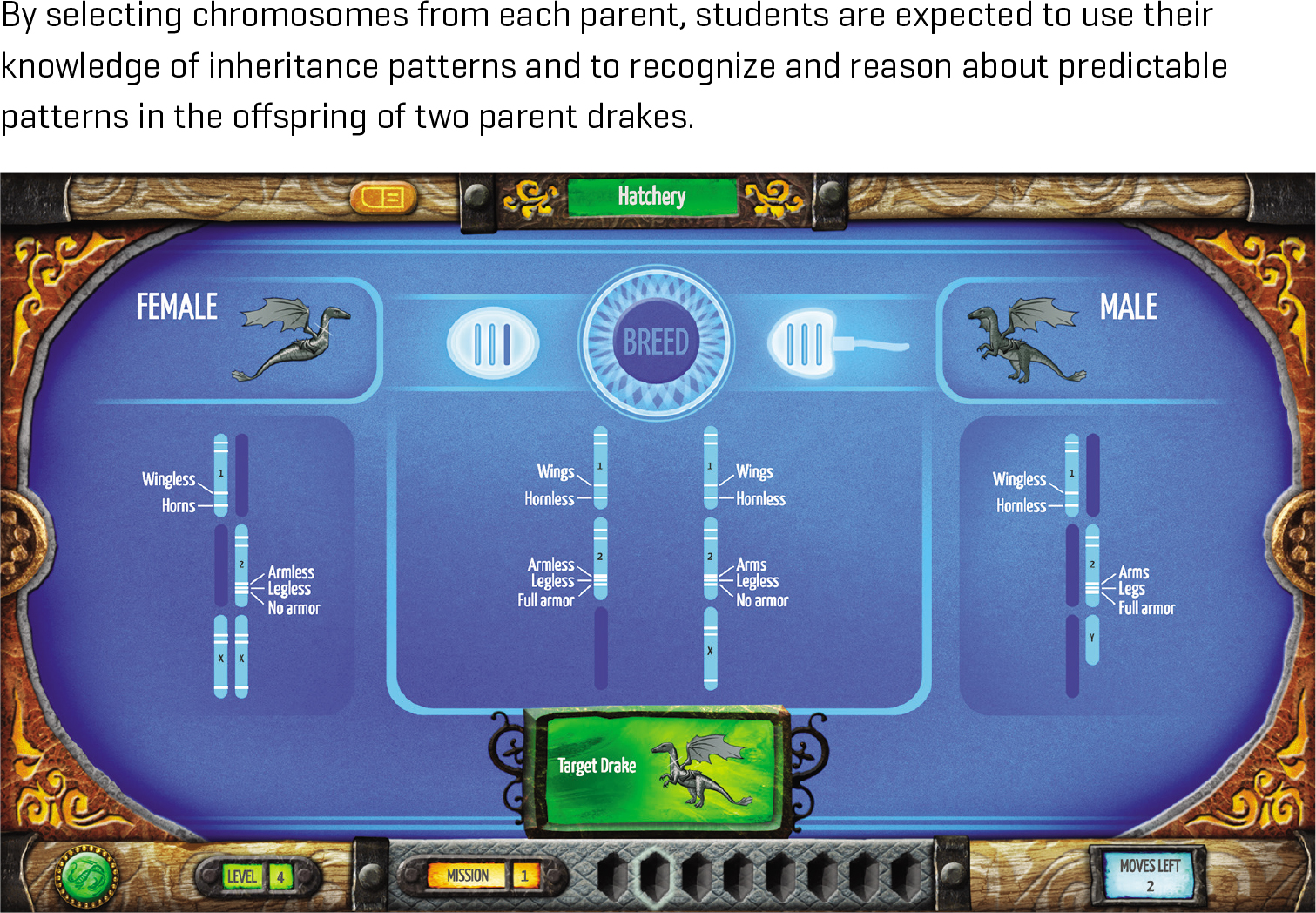 By selecting chromosomes from each parent, students are expected to use their knowledge of inheritance patterns and to recognize and reason about predictable patterns in the offspring of two parent drakes.