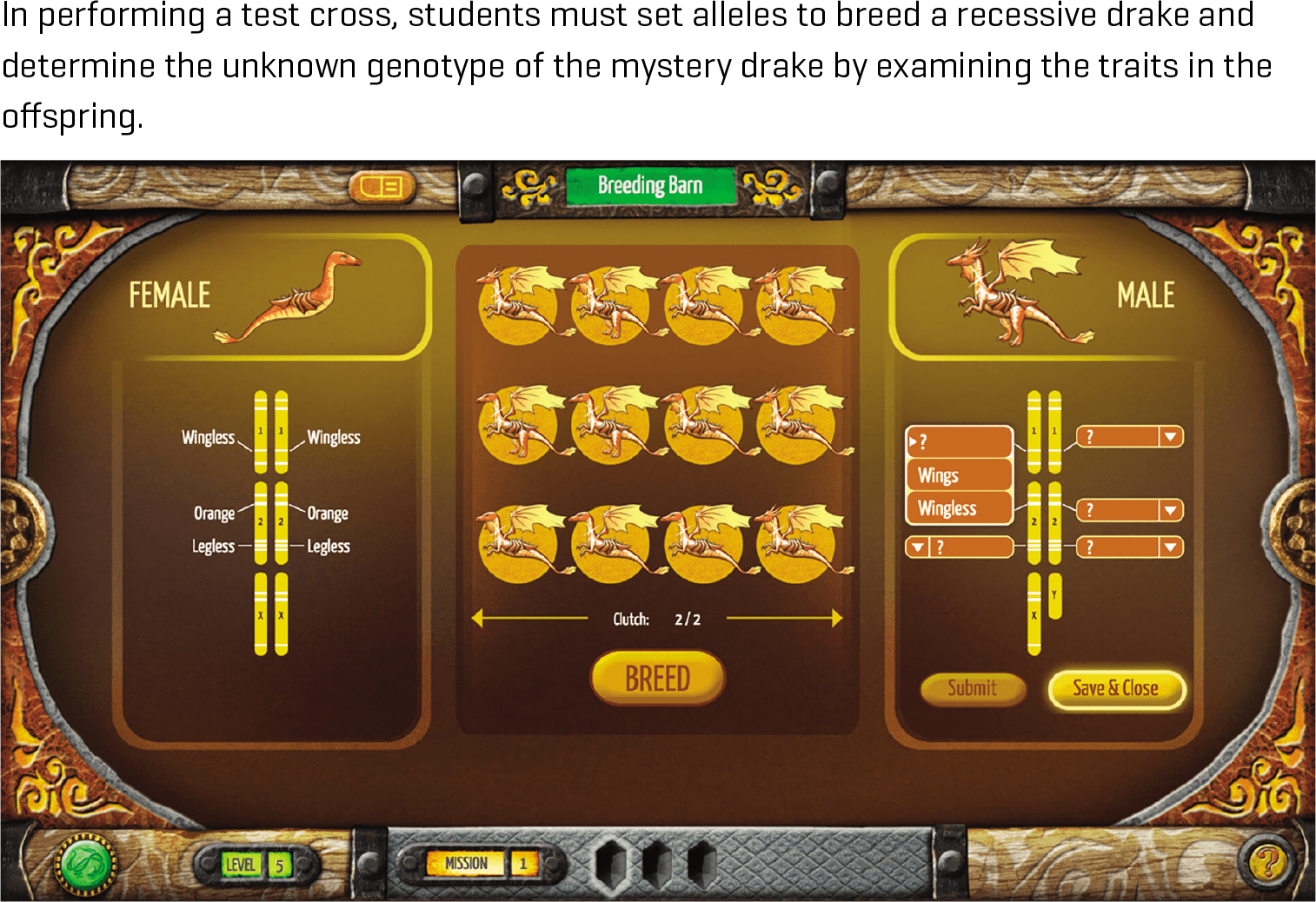 In performing a test cross, students must set alleles to breed a recessive drake and determine the unknown genotype of the mystery drake by examining the traits in the offspring.