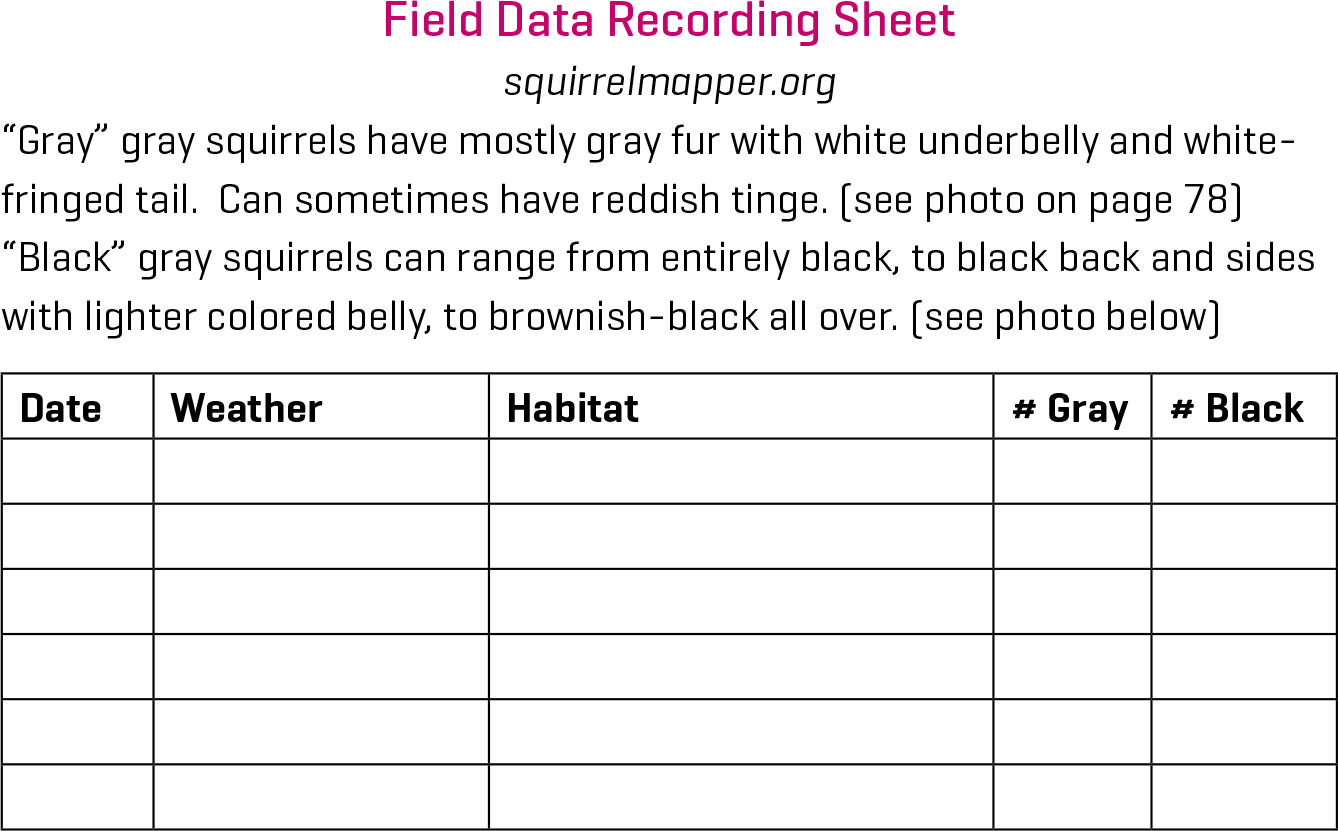 Squirrel Mapper Field Data Sheet