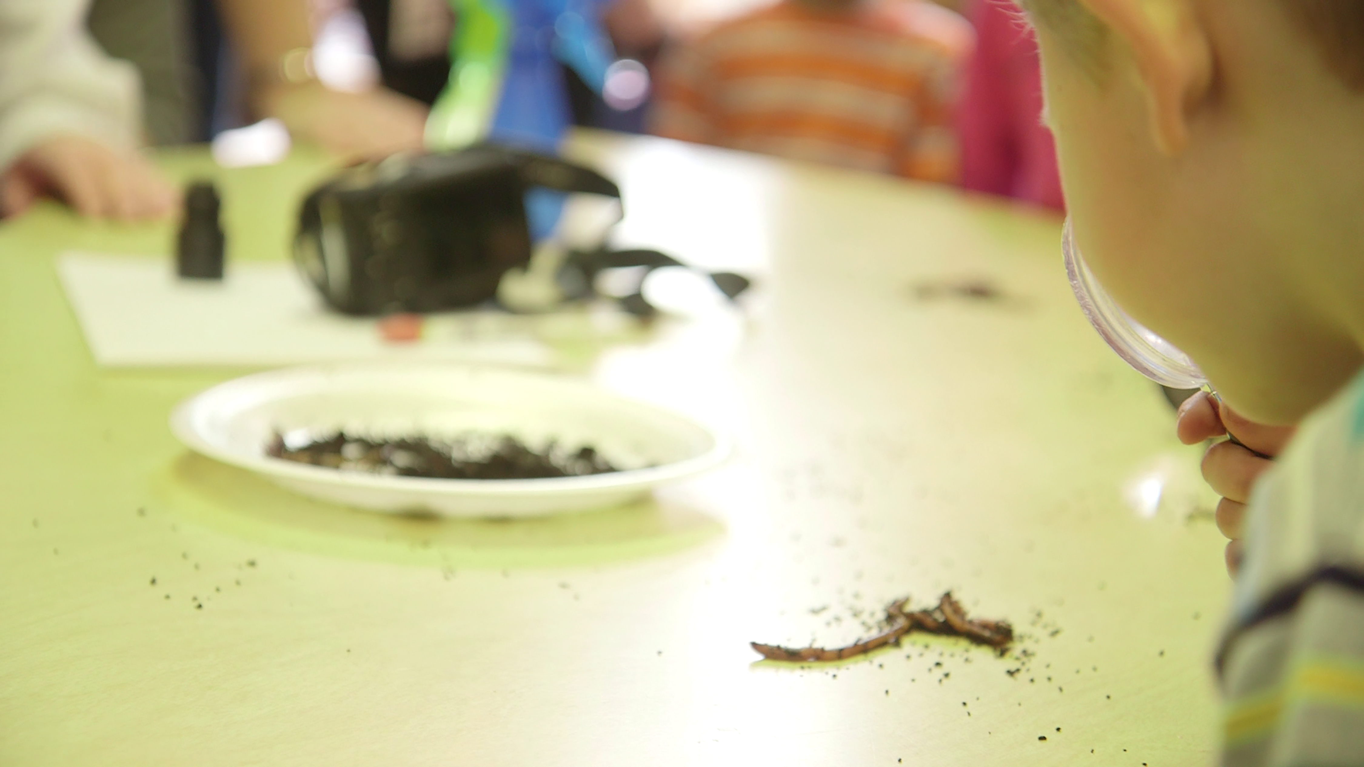 The Worms Are Dancing!