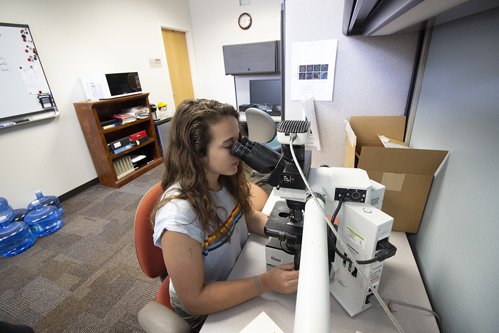 A KEYS intern works at a microscope. Credit: Robert Meares