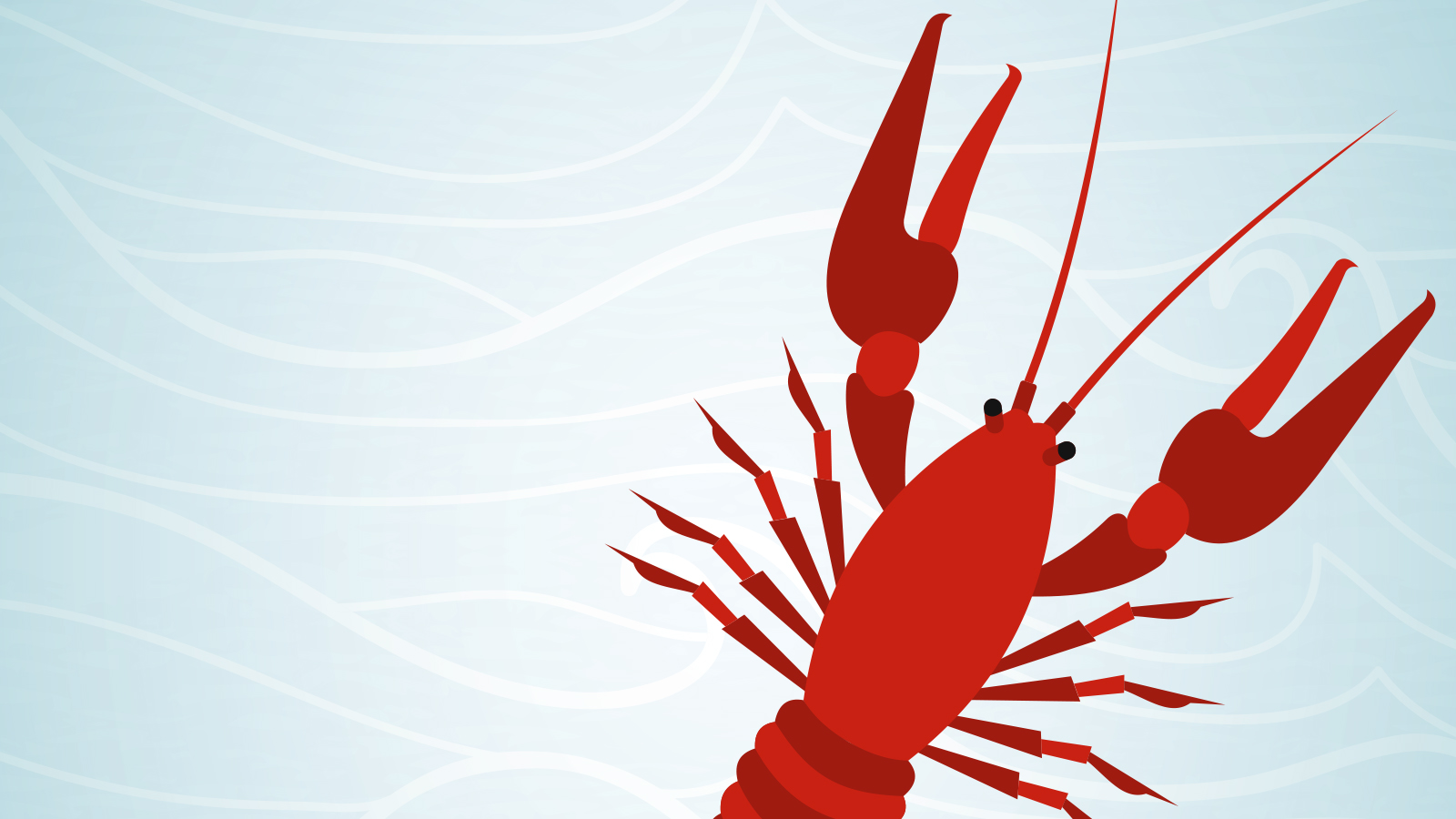 Cultivating Curiosity About Creatures