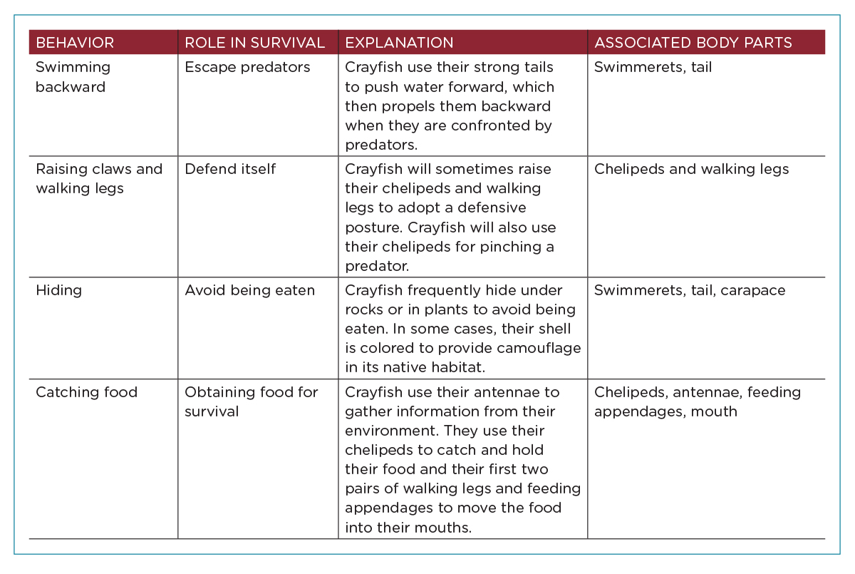 Data log of crayfish adaptations.