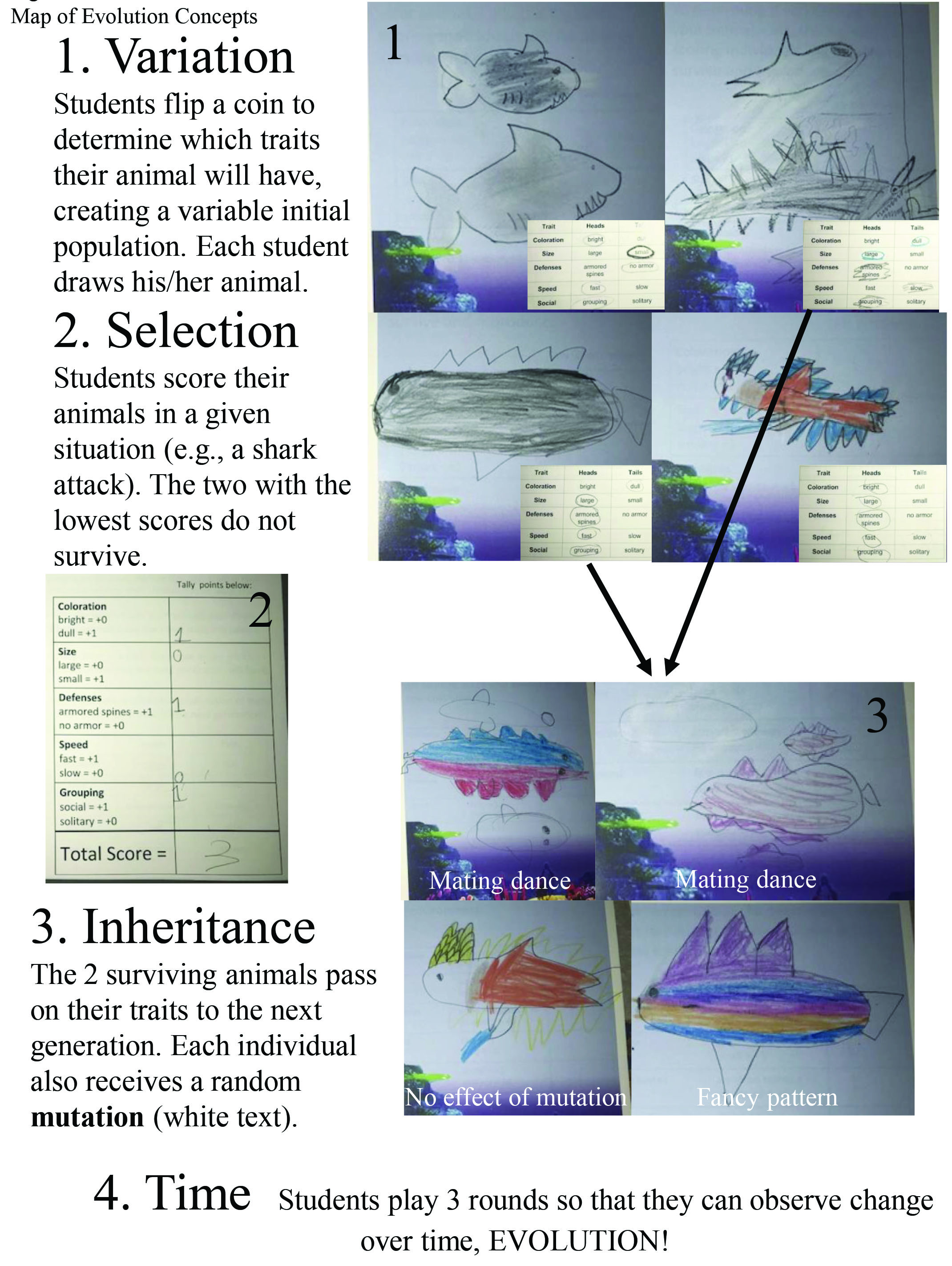 FIGURE 3