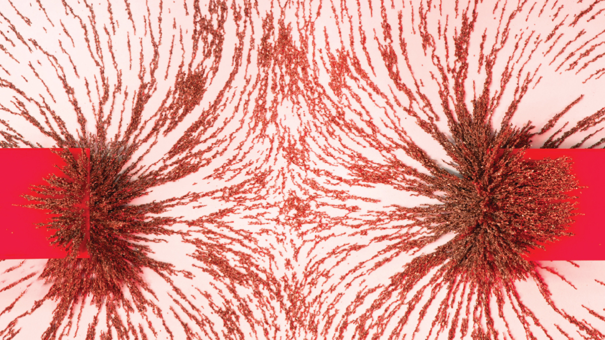 Using Storylines to Support Three-Dimensional Learning in Project-Based Science