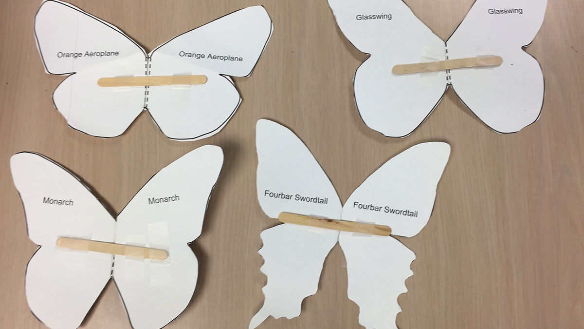 STEM-ify Me: It’s Elementary! Designing Butterfly Wings
