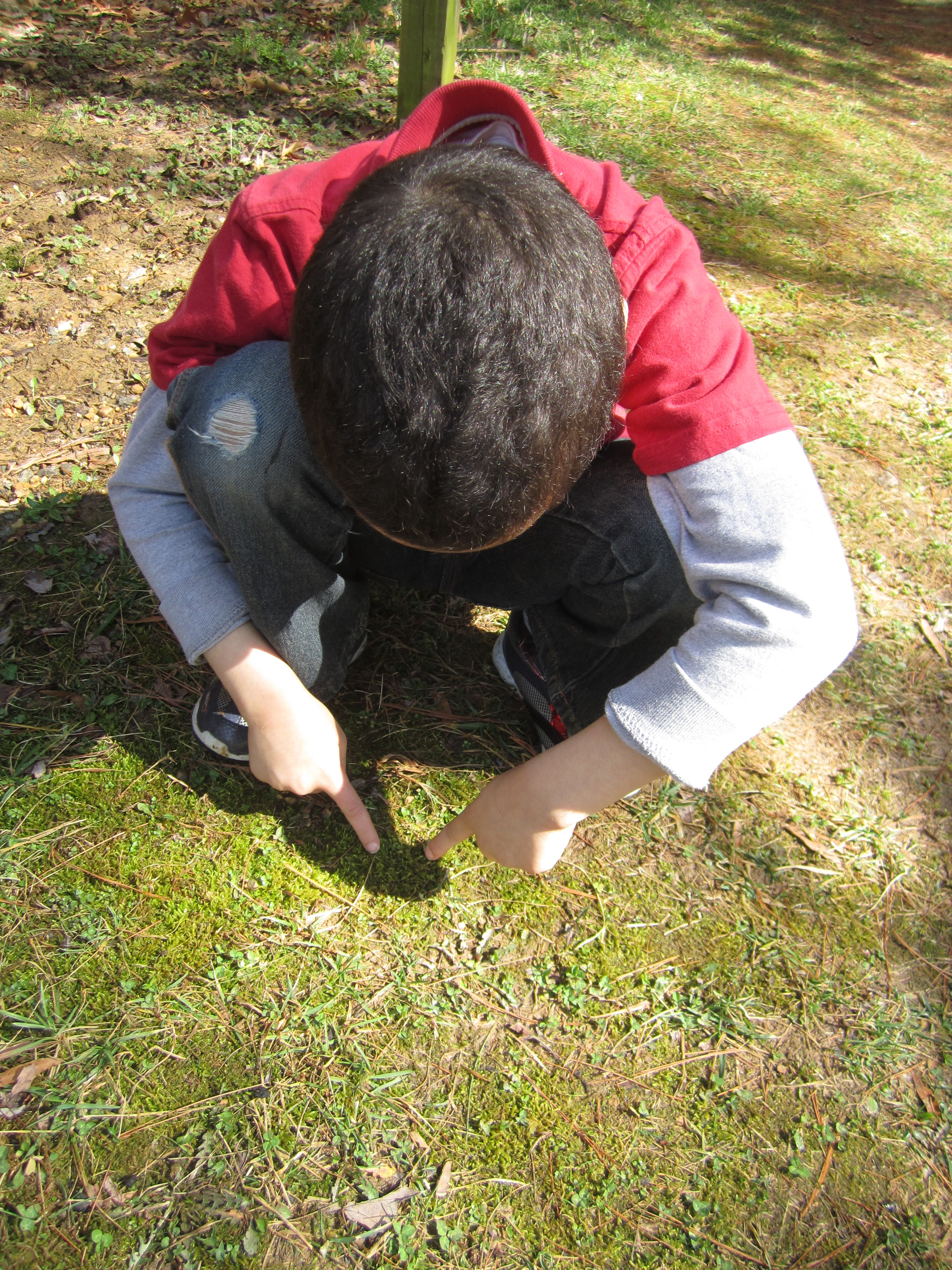 Examining plants up close