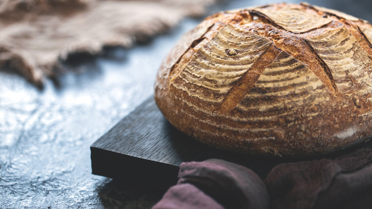 Sourdough Citizen Science