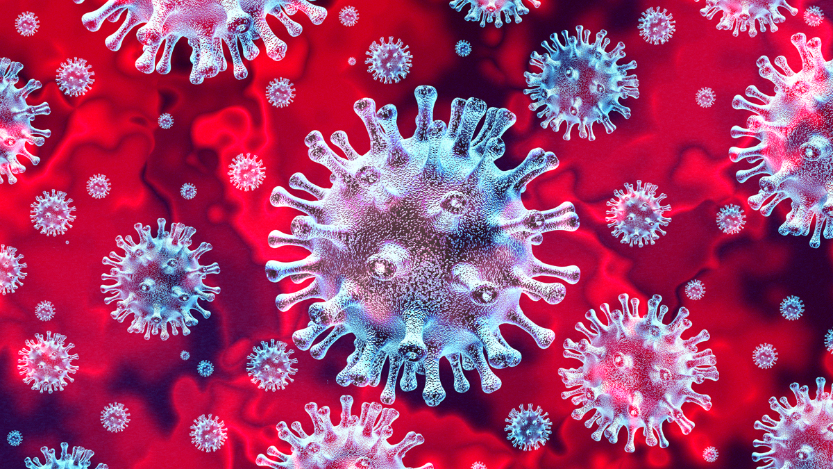 Novel Coronavirus: What’s the Real Story?