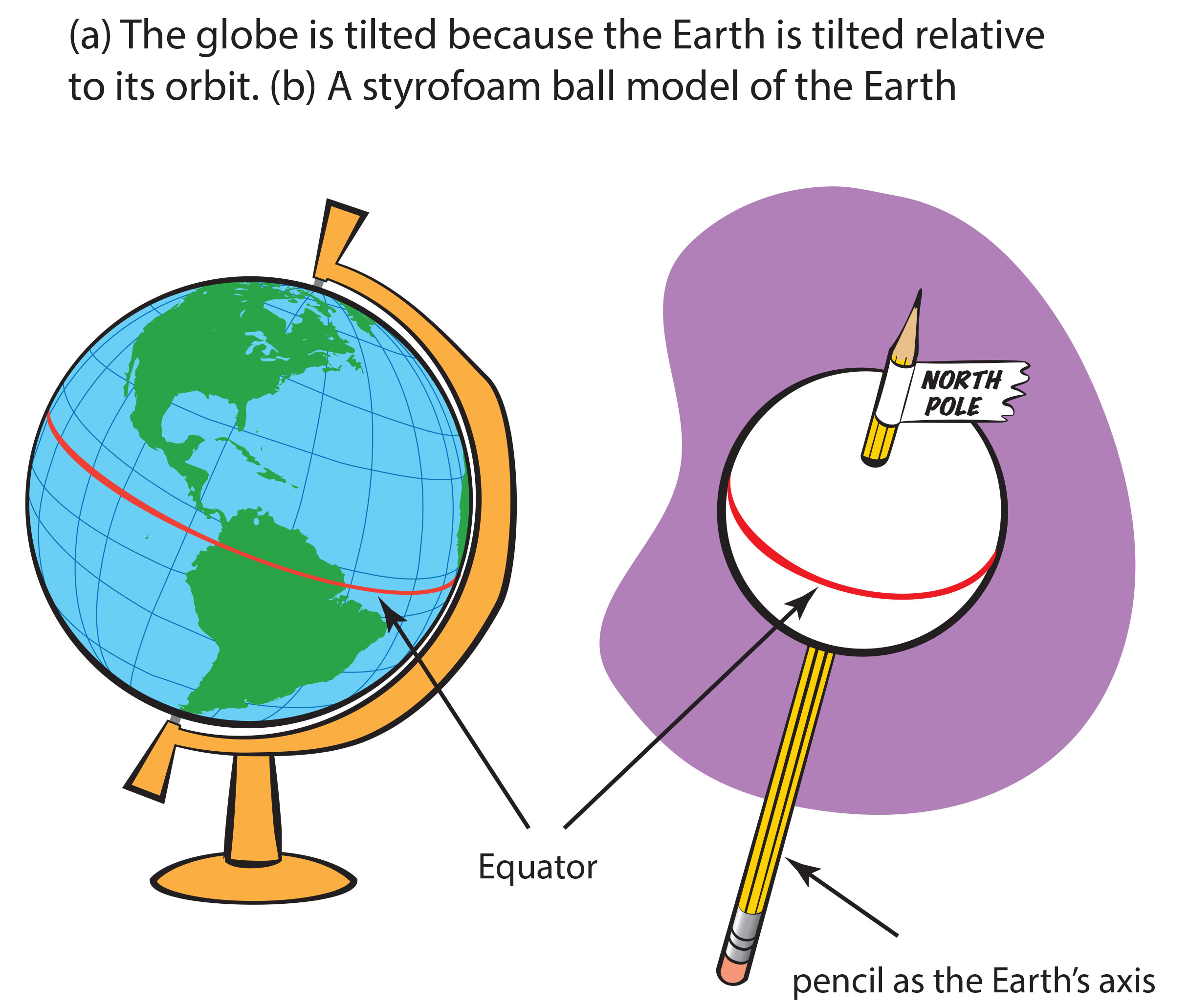 (a) The globe is tilted because the Earth is tilted relative to its orbit. (b) A Styrofoam model of the Earth.