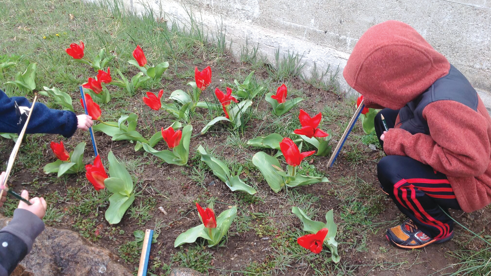 Never Too Young to be a Citizen Scientist!
