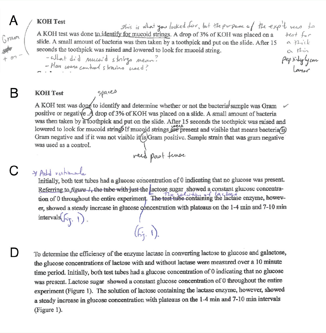 Excerpts of student reports before and after tutoring. Handwritten annotations are original notes made by graders and/or writing tutors. (A) Report 1, initial submission, (B) same paragraph, following tutoring and revision. (C) Report 2, initial submission, (D) same paragraph, following tutoring and revision.