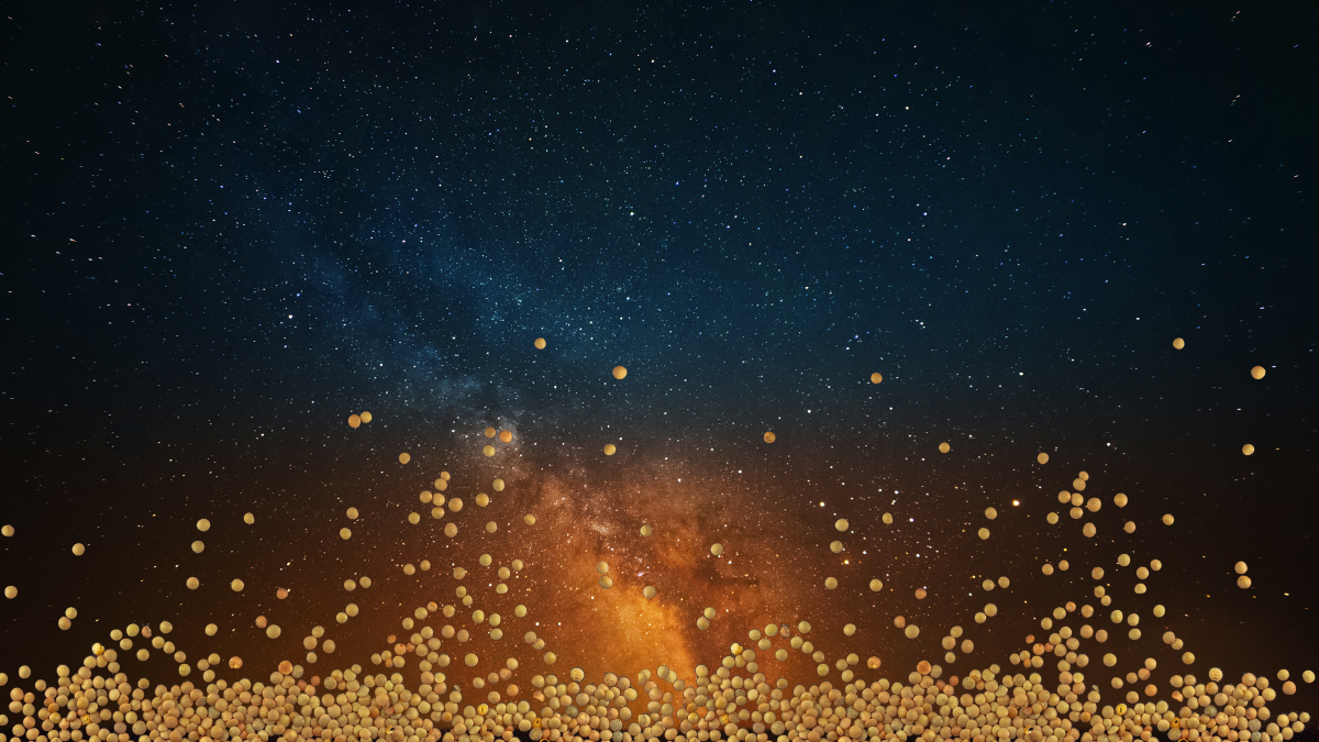 The Milky Way and Lentil Beans