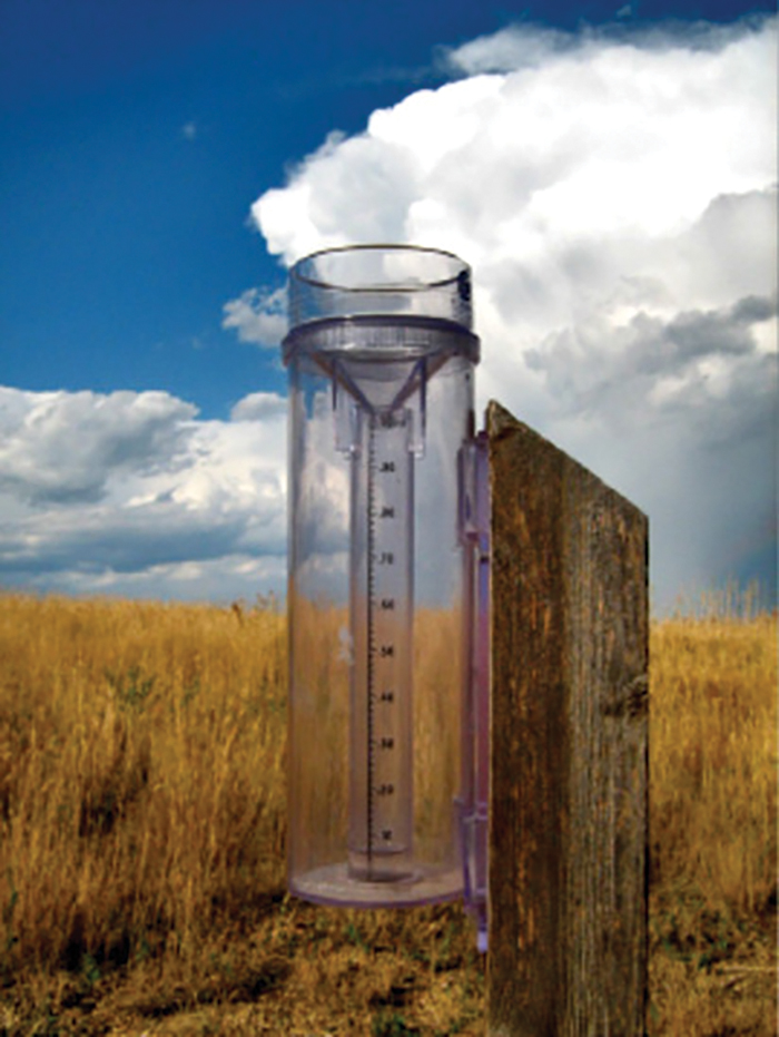 rain gauge