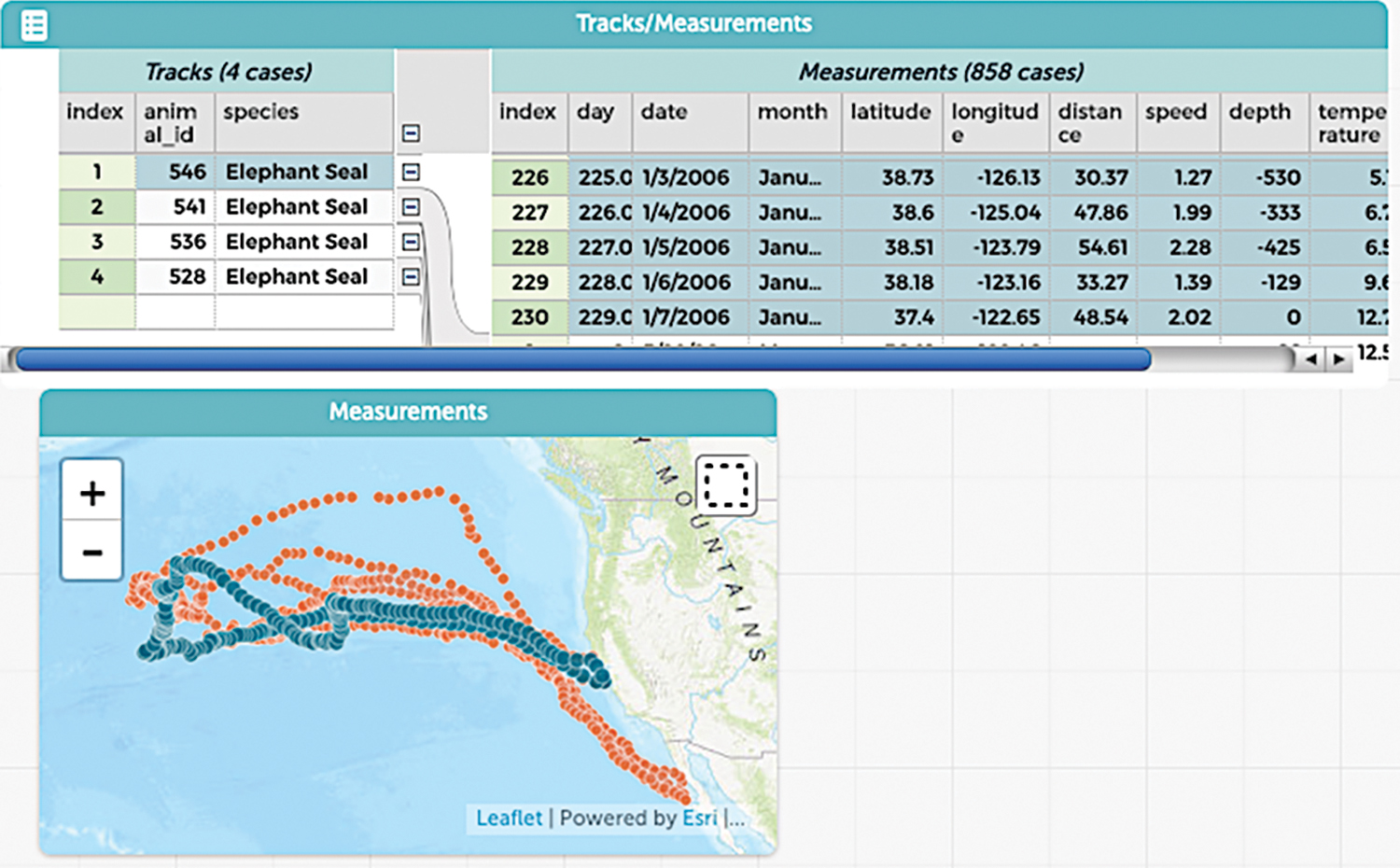 Analyzing hierarchical data in CODAP.