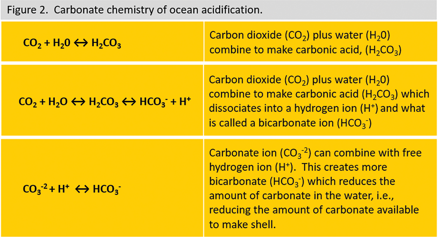 Carbonate chemistry of ocean acidification.