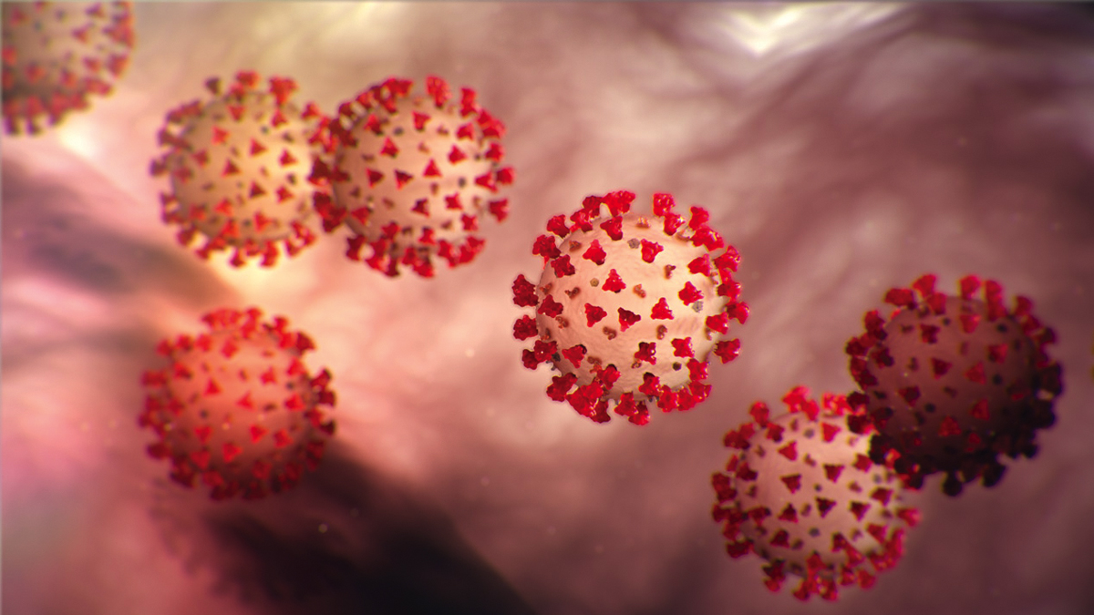 Novel Coronavirus