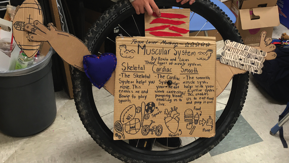 Making Sense of the Human Body