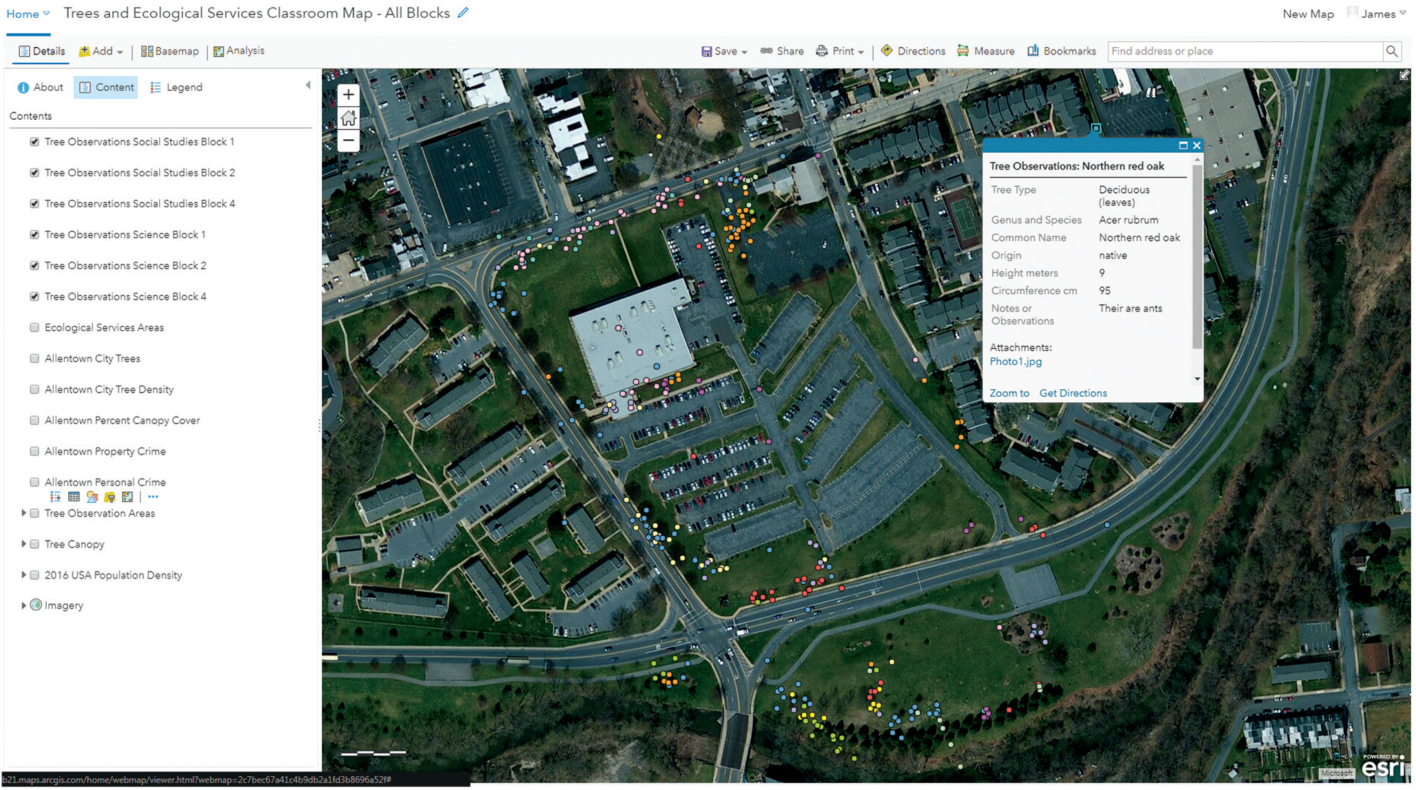 ArcGIS Online user interface showing student investigation areas and student tree identification data in the colored circles. 