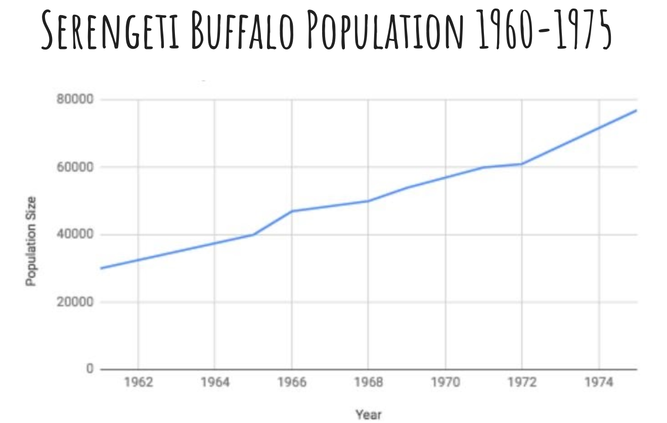 Serengeti Buffalo Population 1960-1975