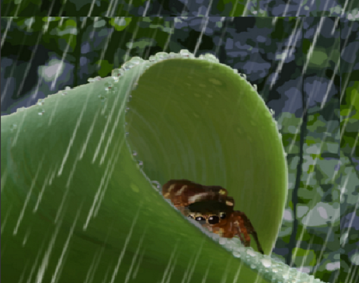leaf