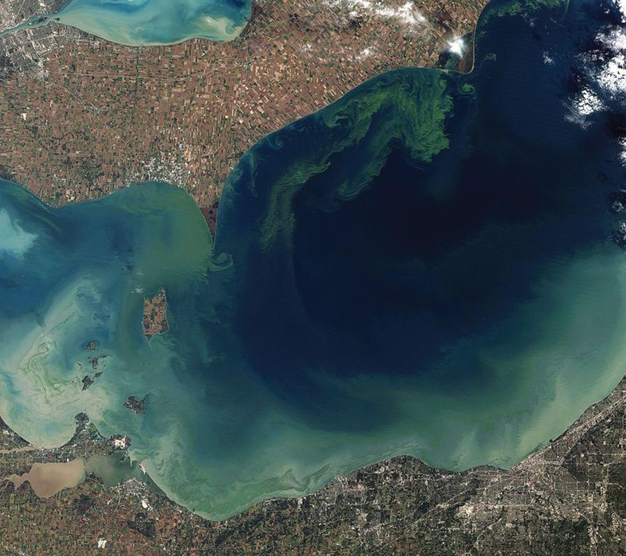Lake Erie harmful algal blooms.