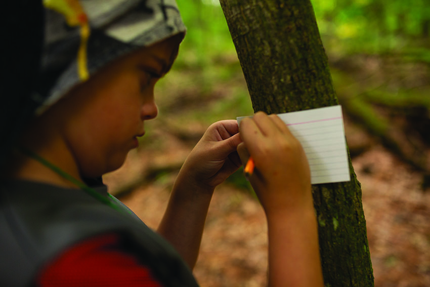 A student collecting data at Upham Woods Outdoor Learning Center.