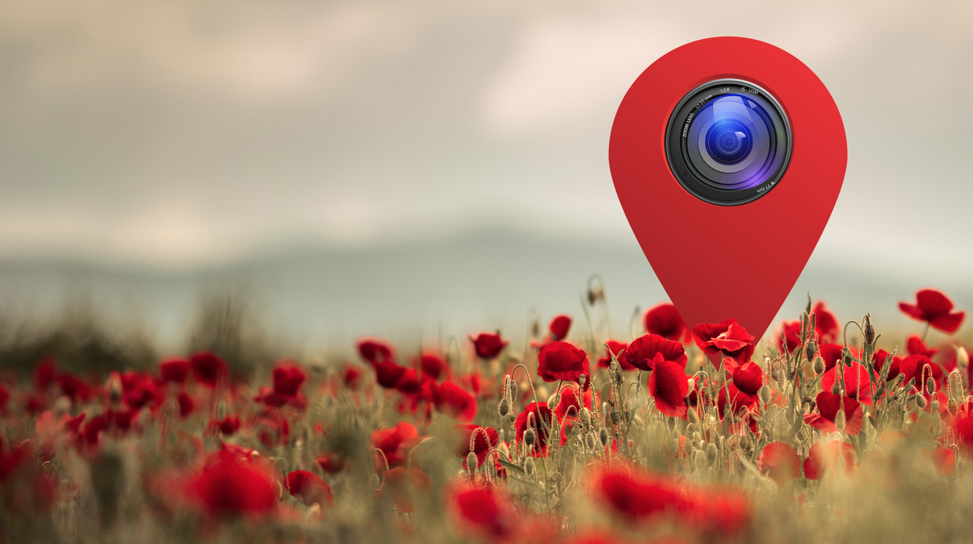 Engaging Learners in Authentic Science With Environmental Data