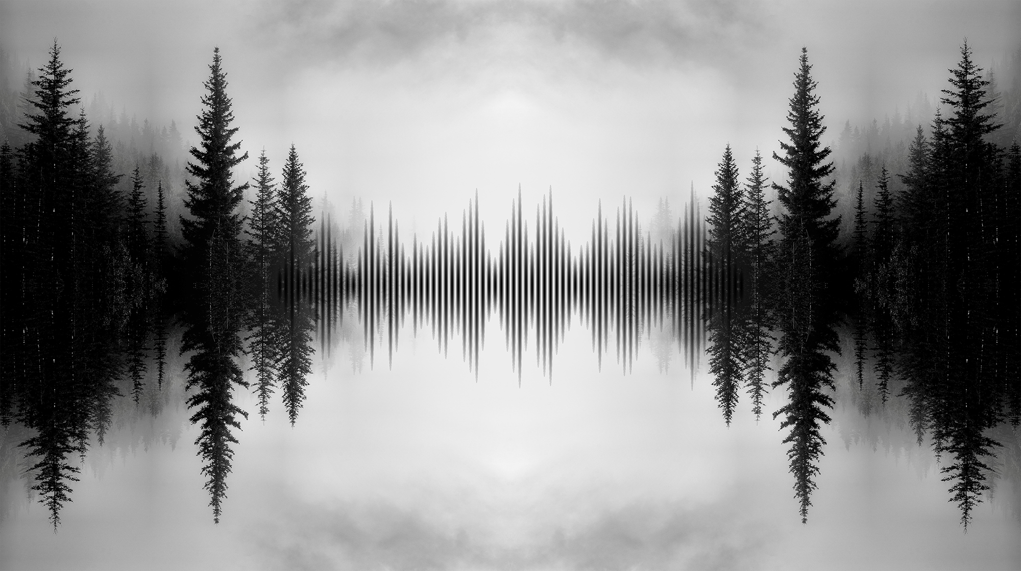 Promoting STEM Interest and Connections to Nature Through a Soundscape Ecology Camp for Students With Visual Impairments