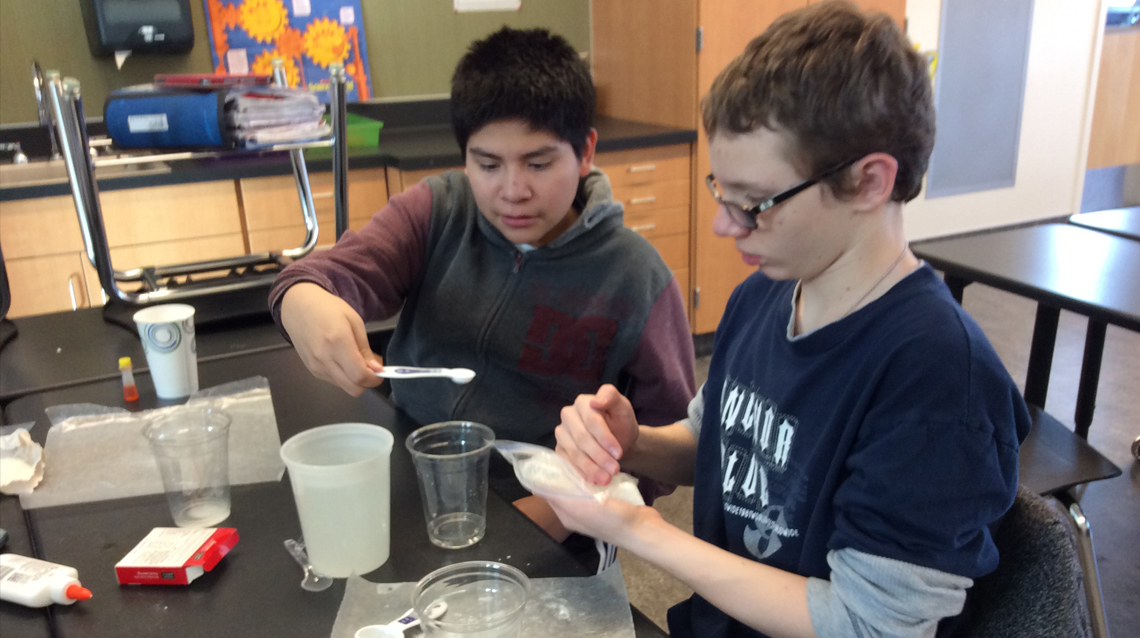 Taking an Ecosystem Approach to STEM Learning