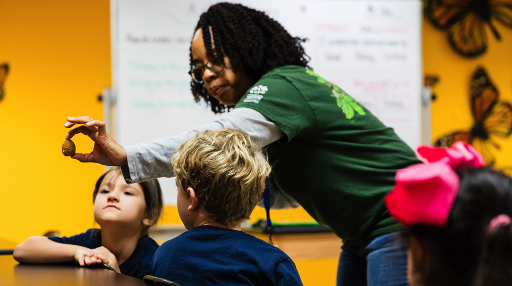Evaluating Nature Museum Field Trip Workshops, an Out-of-School STEM Education Program