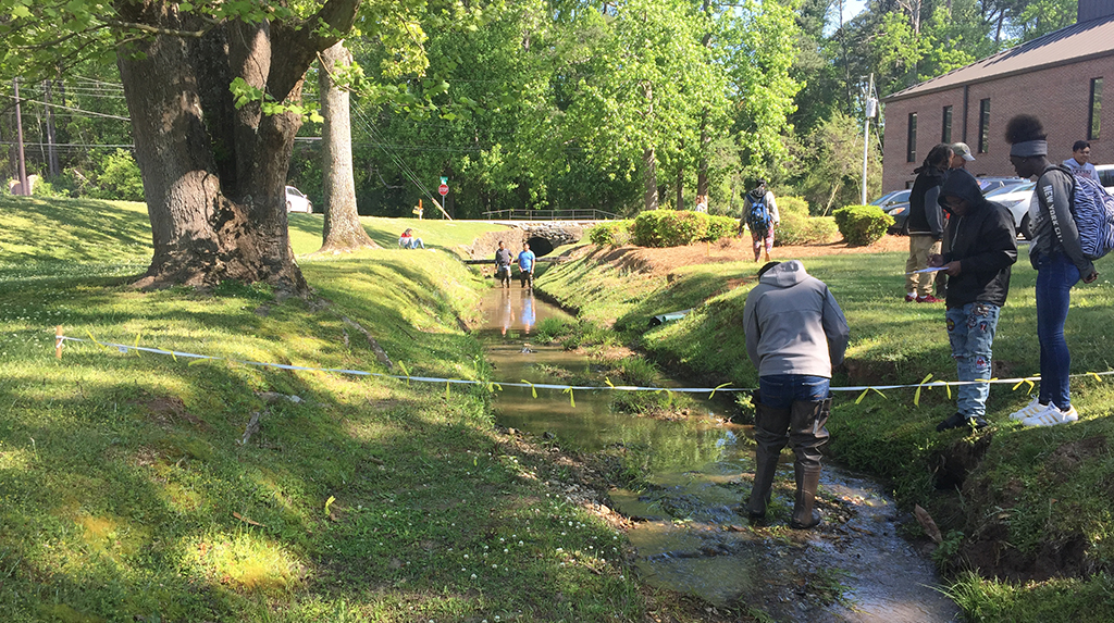 STEMing the Flow for All