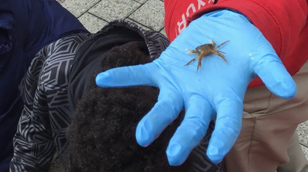 Teaching Environmental Awareness in Baltimore