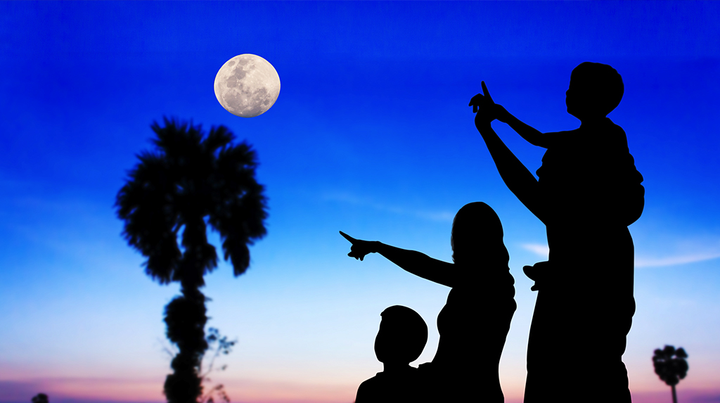 A Tale of Two Partnership Models