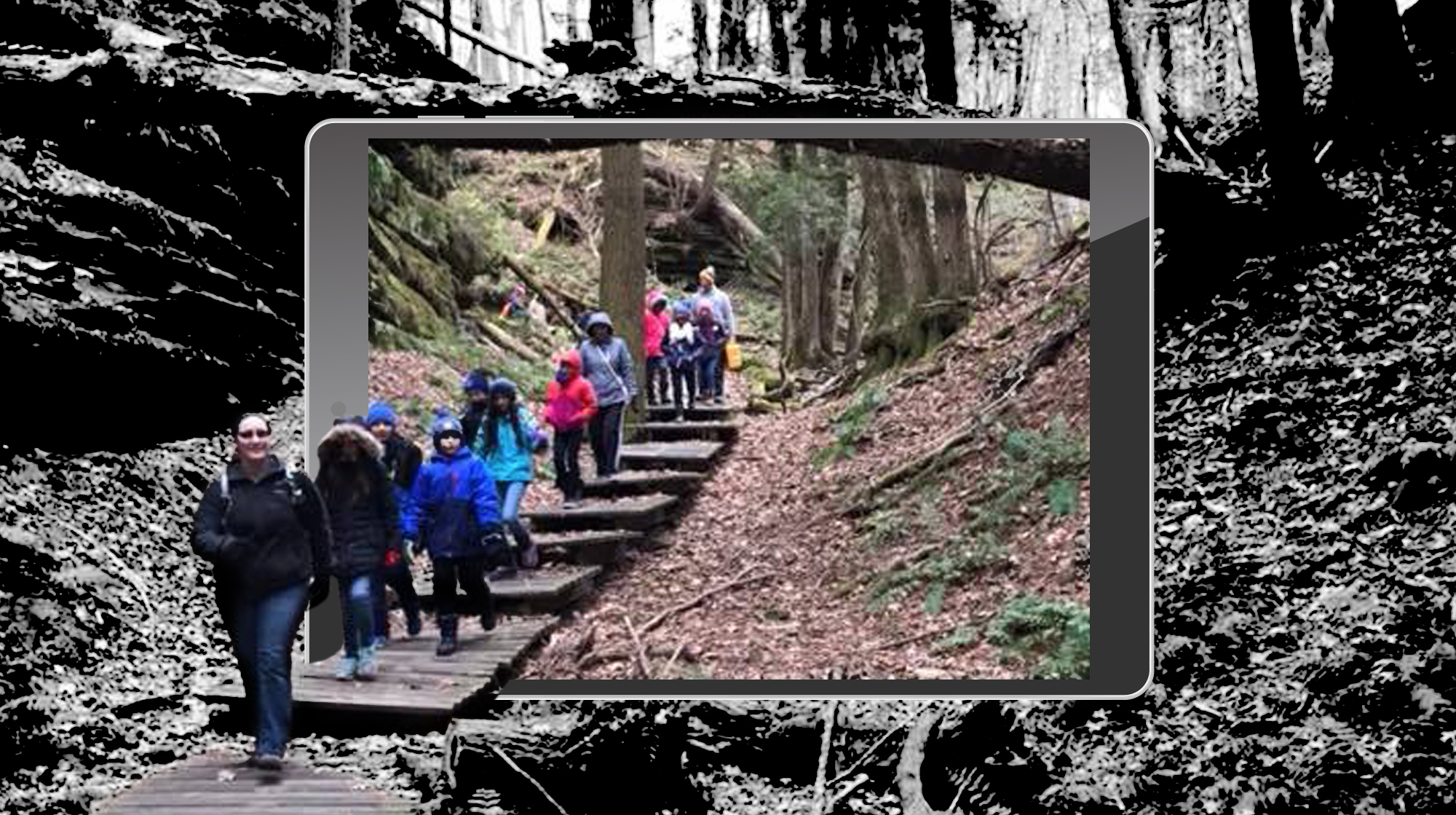 Digital Observation Technology Skills