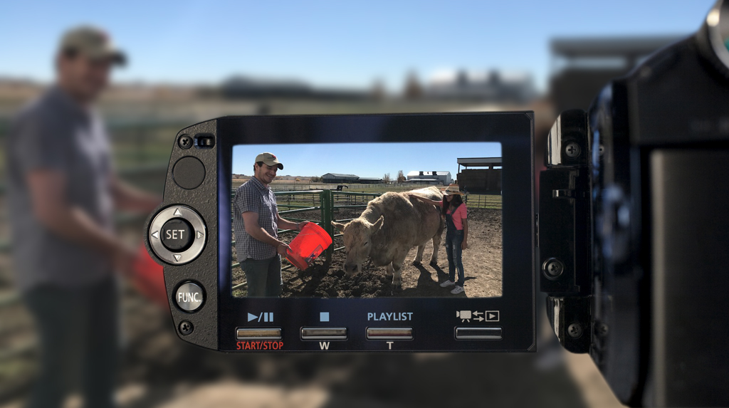 Multimedia Connected STEM Learning With Middle School Students